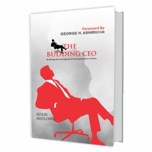 THE BUDDING CEO - Breaking the Stronghold of Unemployment in Africa